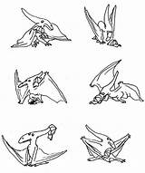 Pteranodon Coloringsun Coloringhome sketch template