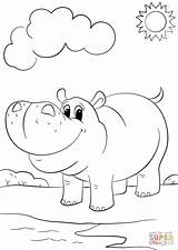 Hippo Coloring Cartoon Cute Pages Printable Drawing sketch template