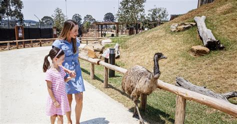 zoos wildlife  sydney official sydney tourism website