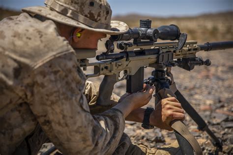 reserve scout sniper platoon conduct  fire training  itx