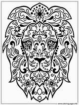 Coloring Lion Adult Zen Pages Printable Print Prints sketch template