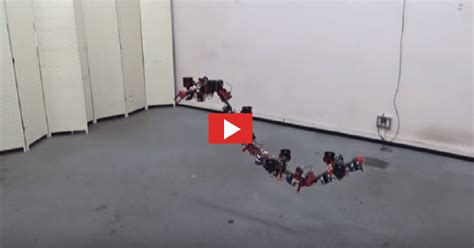 forget normal drones flying dragon drone    video