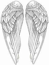 Wings Angel Coloring Pages Snitch Wing Angels Golden Books Printable Template Stamps Drawing Digi Tattoo Tarot Templates Dragon Drawings Colouring sketch template