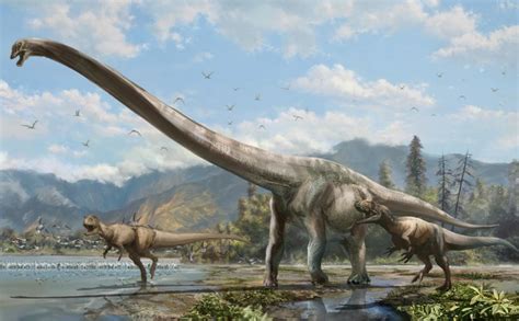 dinosaurus met extreem lange nek gevonden  china geheime geschiedenis sottnet