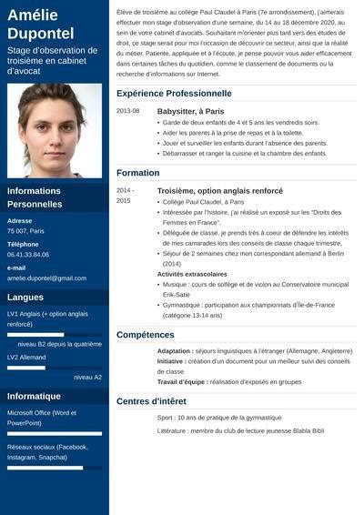 cv stage de eme exemple pour collegien en