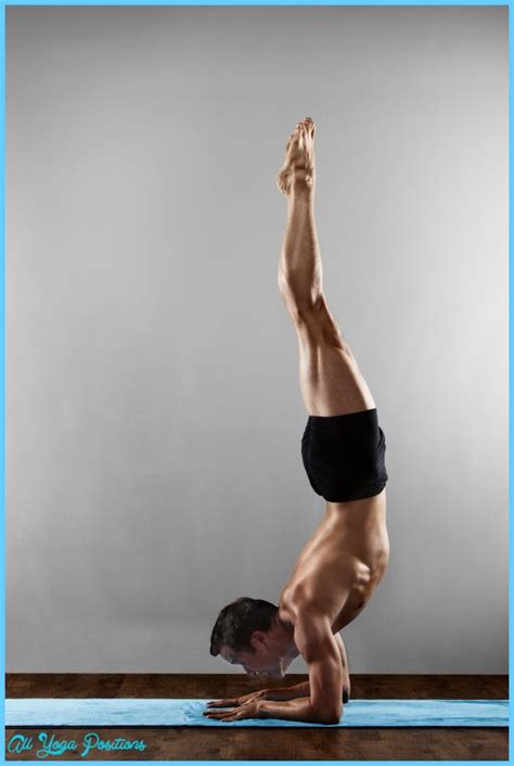 feathered peacock pose yoga forearm stand allyogapositionscom