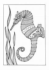 Coloring Seahorse Pages Adults Adult Printable Sea Colorful Horse Ocean Creatures Kids Books Easy Favecrafts Shells Coloringbay Fish Sheets Paint sketch template
