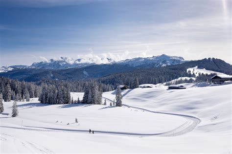 die  besten skigebiete  deutschland