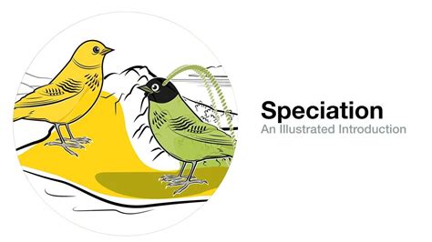 speciation an illustrated introduction source cornell