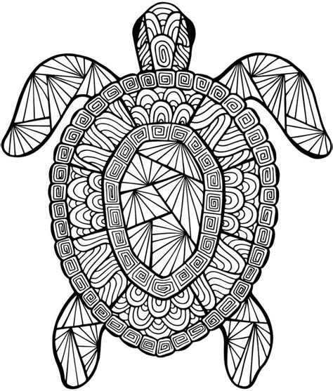 nice  adult coloring pages printable turtle sea turtles  printable templates