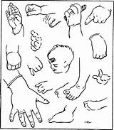 Drawing Baby Kids Draw Child Anatomy Toddlers Hands Children Feet Proportions Poses Measurements Tutorials Proportion Babies Drawings Faces Correct Common sketch template