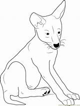 Coyote Pup Coloring Pages Color Coloringpages101 Kids Coyotes Printable Getcolorings Online sketch template