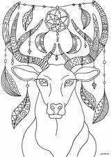 Deers Venados Dreamcatcher Cervi Rehe Colorear Adulti Ornaments Complex Erwachsene Malbuch Fur Justcolor sketch template