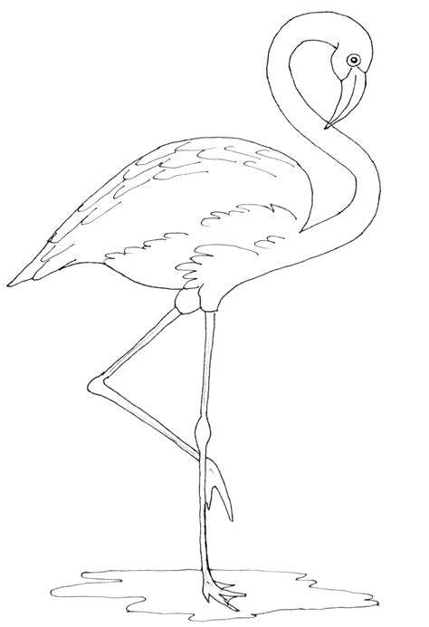 printable flamingo template