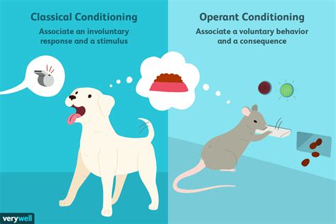 differences  classical  operant conditioning