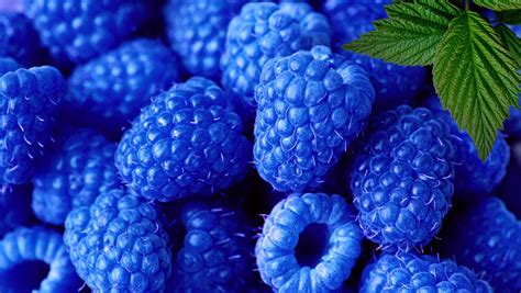blue raspberry flavor