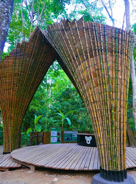 bamboo trees project  building trust  ateliercole