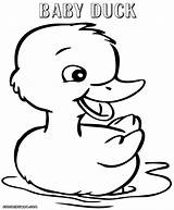 Duck Coloring Pages Print sketch template
