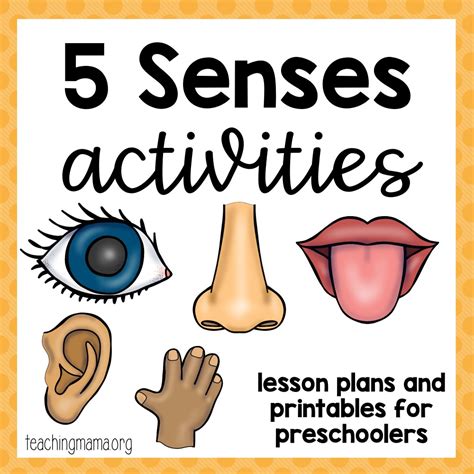 senses activities  senses activities senses activities teaching mama