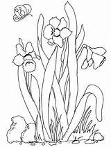 Feliz Flower Colorironline sketch template