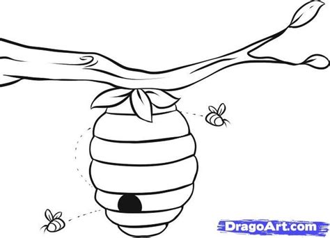 outline beehive coloring page  wonderful world  coloring