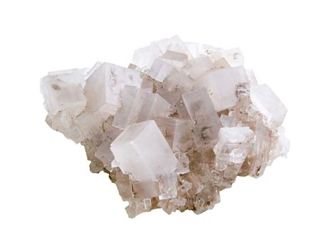 grow salt crystals
