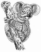 Mandala Coloring Koala Zentangle Pages Animals Mandalas Behance Colouring Drawing Patterned Abstract sketch template