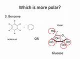 Glucose Nonpolar Forces Intermolecular Benzene sketch template