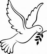 Dove Confirmation Symbols Clipart Line Symbol Drawing Cliparts Peace Colombe Doves Clip Christmas Template Drawings Computer Designs Use sketch template