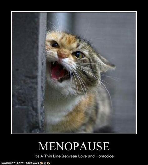 funny menopause quotes quotesgram
