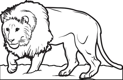 printable male lion coloring page  kids supplyme
