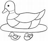 Coloring Duck Pages Ducks Para Coloringpages1001 Colorir Artigo Flickr sketch template