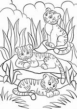 Kolorowanki Tygrysy Tigres Selvatici Tigrotti Piccoli Tre Coloritura Svegli Tigers Dzikie Zwierzeta Mignons Savanna Bébé Animaux Slodkie Trzy Repose Coeur sketch template