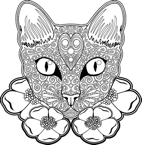 kitty coloring cat coloring page halloween coloring pages doodle