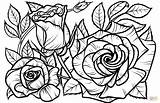 Rose Coloring Pages Roses Printable Supercoloring Print Sheets Beautiful Flowers sketch template
