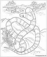 Coloring Pages Desert Snake Year Chinese Kids Snakes Cute Activity Printable Color Habitat Print Getcolorings Getdrawings sketch template