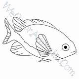 Damselfish Coloring Pages Click sketch template