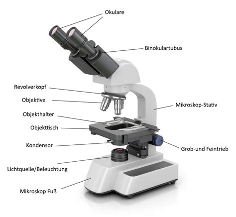 mikroskop aufbau hier mehr erfahren wie es aufgebaut ist