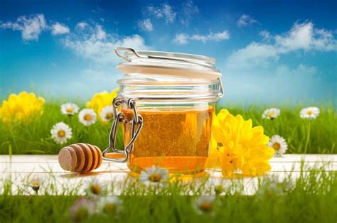 Get To Know The Potent Healing Properties Of Honey ~ Life Advancer