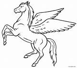 Coloring Pages Pegasus Unicorn Drawing Kids Horse Choose Board Outline sketch template