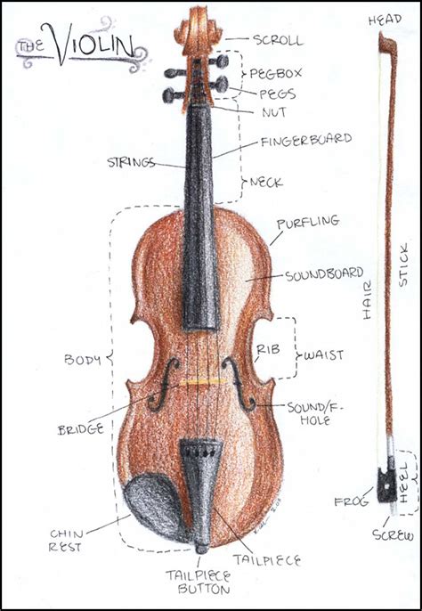 parts   violin  bow printouthandout denley