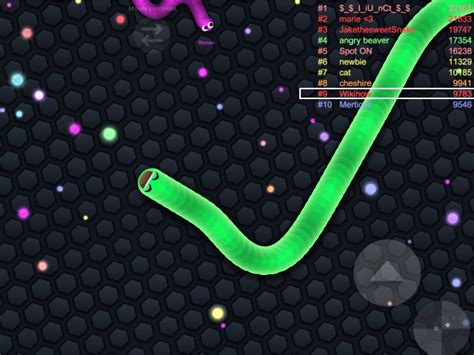 play slitherio  steps  pictures wikihow