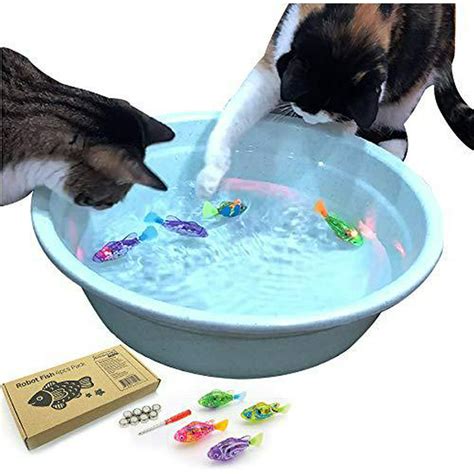 indoor cat interactive swimming fish toy  water cat toy  indoor cats play fishing good
