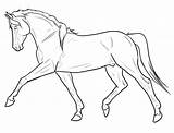 Horse Caballos Caballo Running Sombrear Trotting sketch template