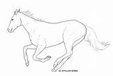 Thoroughbred Lineart Galloping Standardbred sketch template