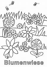 Blumenwiese Ausmalbilder Malvorlage Natur Bienen Malen Ausmal sketch template