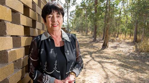 budget 2019 m1 funding stoush logan council weighs in on daisy hill