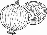 Onion Coloring Pages Drawing Kids Onions Vegetable Vegetables Coloringbay Carrots Getdrawings Popular Broccoli sketch template