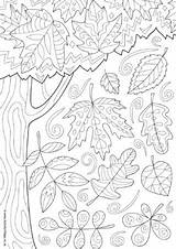 Colouring Autumn Pages Doodle Kids Coloring Adults Fall Older Activityvillage Sheets Leaves Tree Doodles Senior Seniors Adult Printable Leaf Abstract sketch template