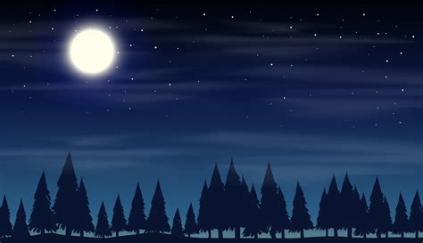 night scene  silhouette woods  vector art  vecteezy